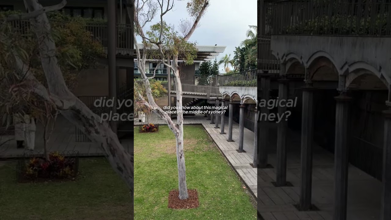 YouTube Short thumbnail