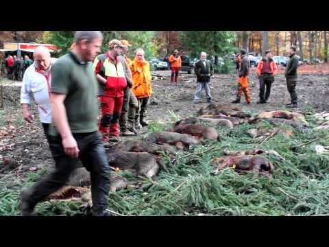 Auf der Jagd im Bramwald - Mit Jägern auf der Pirsch