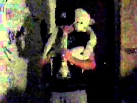 Zekka vs scimmia haha