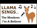Llama Sings The Monkees I M A Believer Animated Video Mashup Humour Featuring Eileen Strong