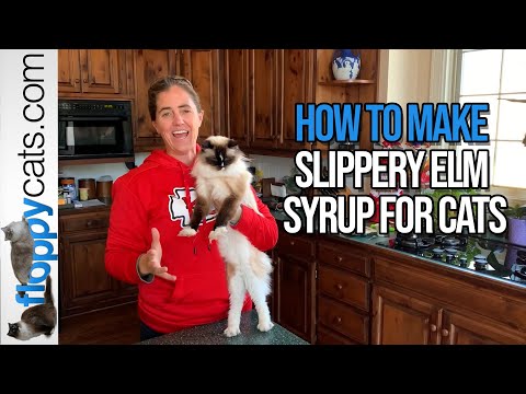 How to Make a Slippery Elm Syrup Recipe for Cats