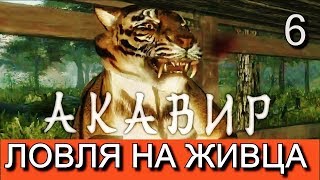 Скайрим. Мод АКАВИР. ПРОКЛЯТИЕ БЕССМЕРТНЫХ. Прохождение. Часть 6