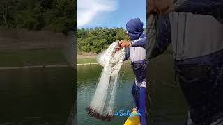 Download lagu NGECRIK/jala ikan jatigede    #jatigede mp3