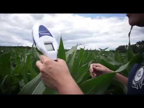 Geenseeker Handheld Crop Sensor