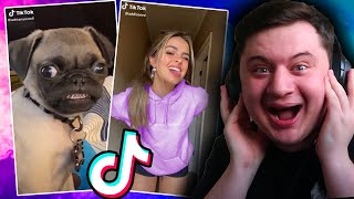 Reacting To My Favourite TikToks That Are Actually FUNNY...