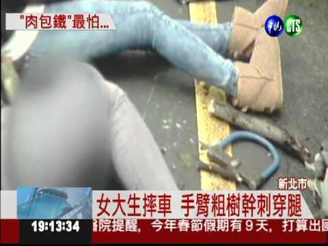 閃躲修樹工 雙載摔車樹刺穿腿