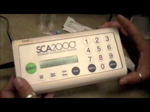 SOP SCA 2000 APTT PT