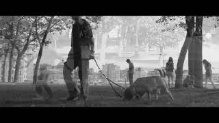 Banu Kanıbelli - Lobna'nın Şarkısı