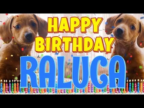 Happy Birthday Raluca! ( Funny Talking Dogs ) What Is Free On My Birthday