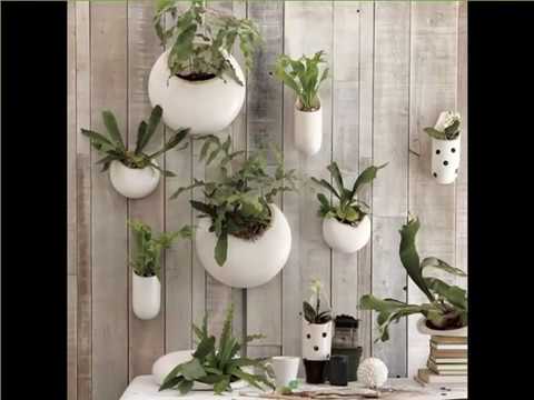 Indoor wall hanging plants