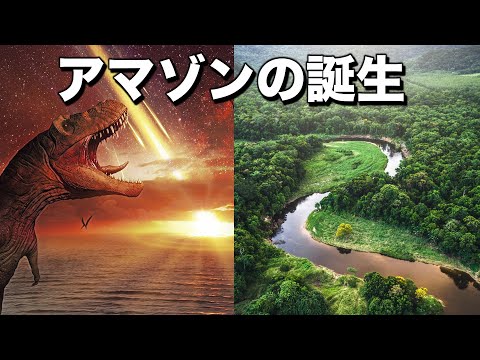 小惑星が熱帯雨林をどのように形作ったのか