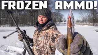 Will Ammo Fire If It's Completely FROZEN??? (Arctic Torture Test)
