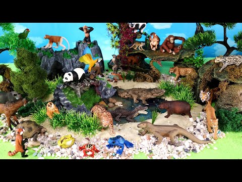 Jungle Diorama and Wild Animal Figurines - Learn Animal Names