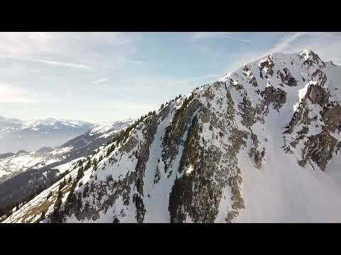 sportmania Powder Thrills: Freeride