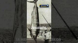 Download lagu INILAH PEMANCING LEGENDARIS PENAKLUK BLACK MARLIN TERBESAR DI DUNIA #mancing #pancing #mancingmania mp3
