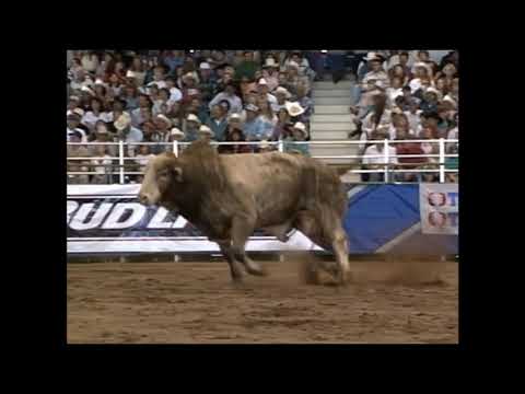 Gist Buckle bucks Pat Yancey - 95 PBR Rancho Murieta