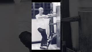 Download lagu 8 rare pictures of Ip Man   #ipman #wingchun #cab2drs mp3