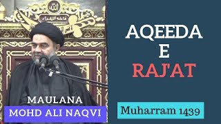 13th Muharram 1439 - Majlis by Maulana Syed Muhammad Ali Naqvi