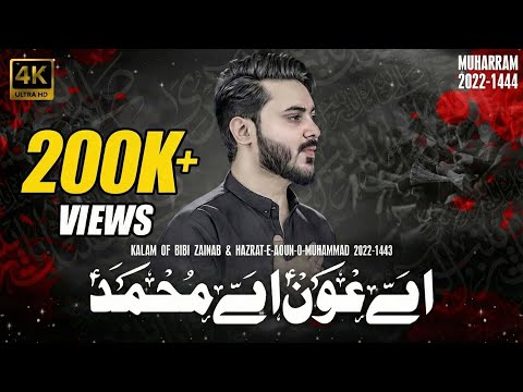 Ay Aoun Ay Muhammad | Ali Hamza New Noha 2022 | New Nohay 2022 | Muharram 2022/1444