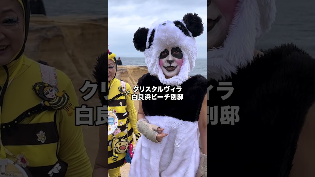 白浜の名所で恐怖を味わいました...💦 #白浜 #女将 #ホテル