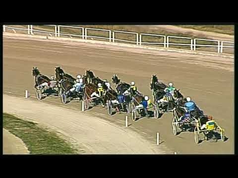 Trotto 16/02/2020 - 1ª corsa