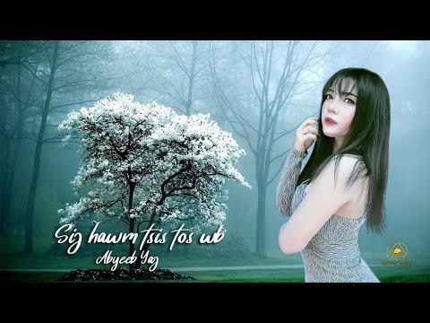 Sij hawm tsis tos wb-Abyeeb Yaj nkauj tawm tshiab 2020 [Audio Official]