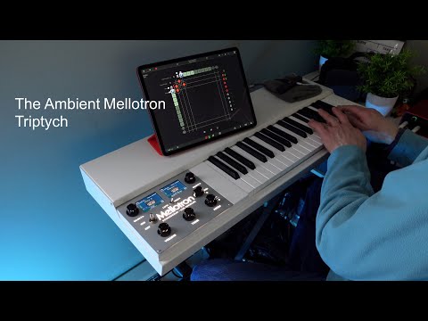 The Ambient Mellotron: Mellotron M4000D Chamberlin Saxes, Brass, Flute, Guitar, Vibes - Triptych
