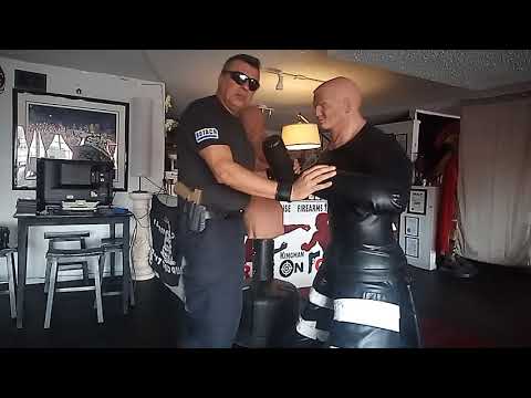 Hook elbow reverse elbow knife hand knee strike