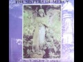 The sisters of mercy : wide receiver (demo 1984 ...