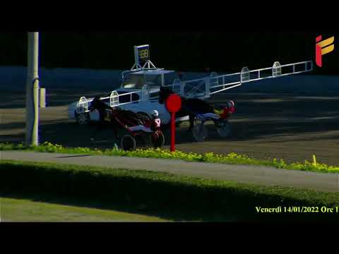 Prova di riqualifica  del 14 Gennaio 2022 - 5 Anni ed oltre - Metri 1600