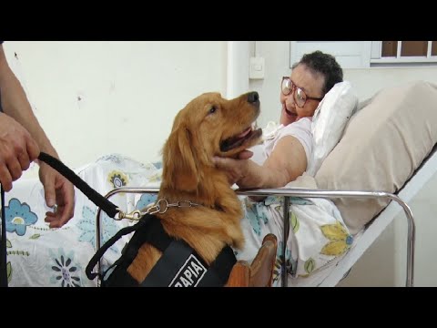 Projeto Cão Doutor é sucesso em casa de repouso de Rio Claro
