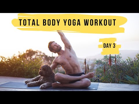 Day 3 Total Body Yoga Workout Challenge | Yoga With Tim