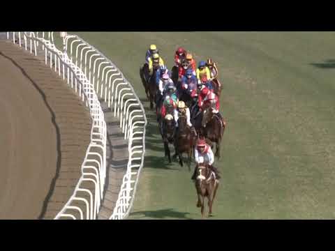 2020.07.25 Durban July (RSA) - Belgarion