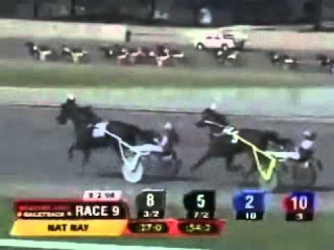 Nat Ray Trot 2008 -Misterizi