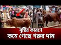 শেষ মুহূর্তে কমতে শুরু করেছে গরুর দাম ! | Goru bazar | Bangla News | Mytv News
