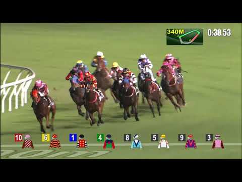 8/9/2021 (11) Shanghai Power - J Moreira