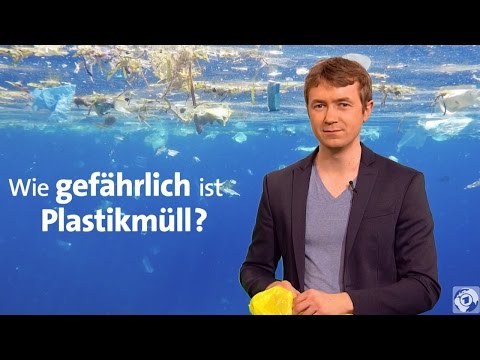 Plastik im Meer - Wie gefährlich ist Plastikmüll?