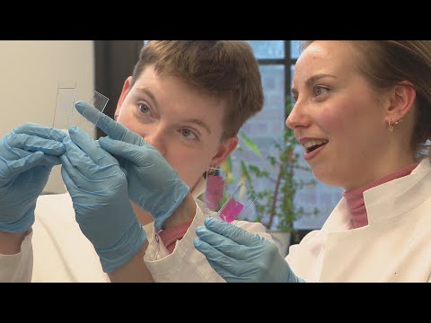 Chicago scientists make key finding that may improve ...