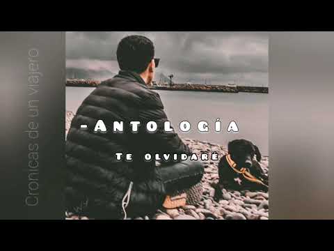 -Antología - Te olvidaré 🖤