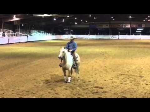 Trevor dare cow horse Ardmore