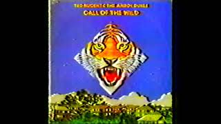 Download lagu AMBOY DUKES  - Call Of The Wild [1974 VHS] USA Illinois mp3