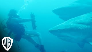 Deep Blue Sea 3 (2020) Video