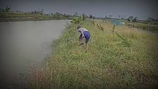 Download lagu Story wa mancing lucu mp3