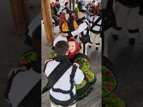 Dant la ciuperca, Certeze Oas