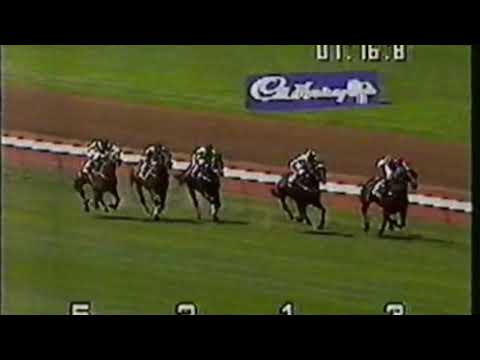 1992 Blamey Stakes - Shiva's Revenge