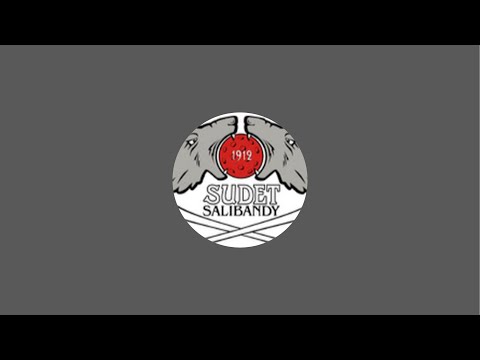 P19 ES+KS: LoSB Red - Sudet SB | Sudet Salibandy Kouvola