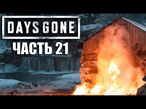 Days Gone Прохождение [4K, PC] Часть 21 - Охота за трофеями