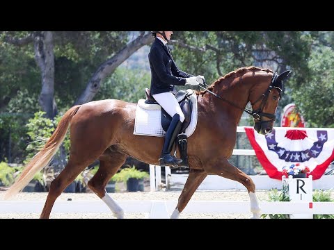 How to Ride Third Level Test 3