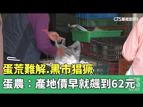 蛋荒難解.黑市猖獗　蛋農：產地價早就飆到62元
