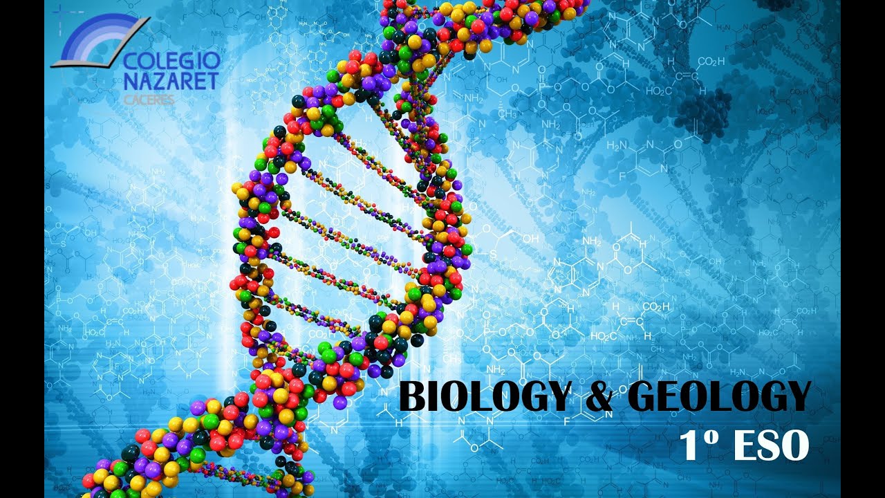 Watch Biology & Geology 1Âș ESO. Virus. Binomial nomenclature. Natural Selection. Now Biology & Geology 1Âș ESO. Virus. Binomial nomenclature. Natural Selection.